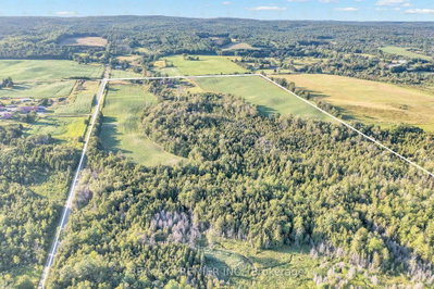 4615 Thertell Road • Clarington, ON photo 6