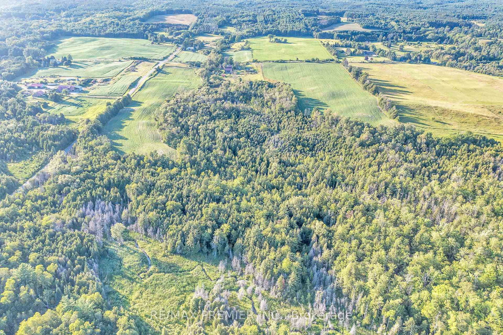 4615 Thertell Road • Clarington, ON photo 7