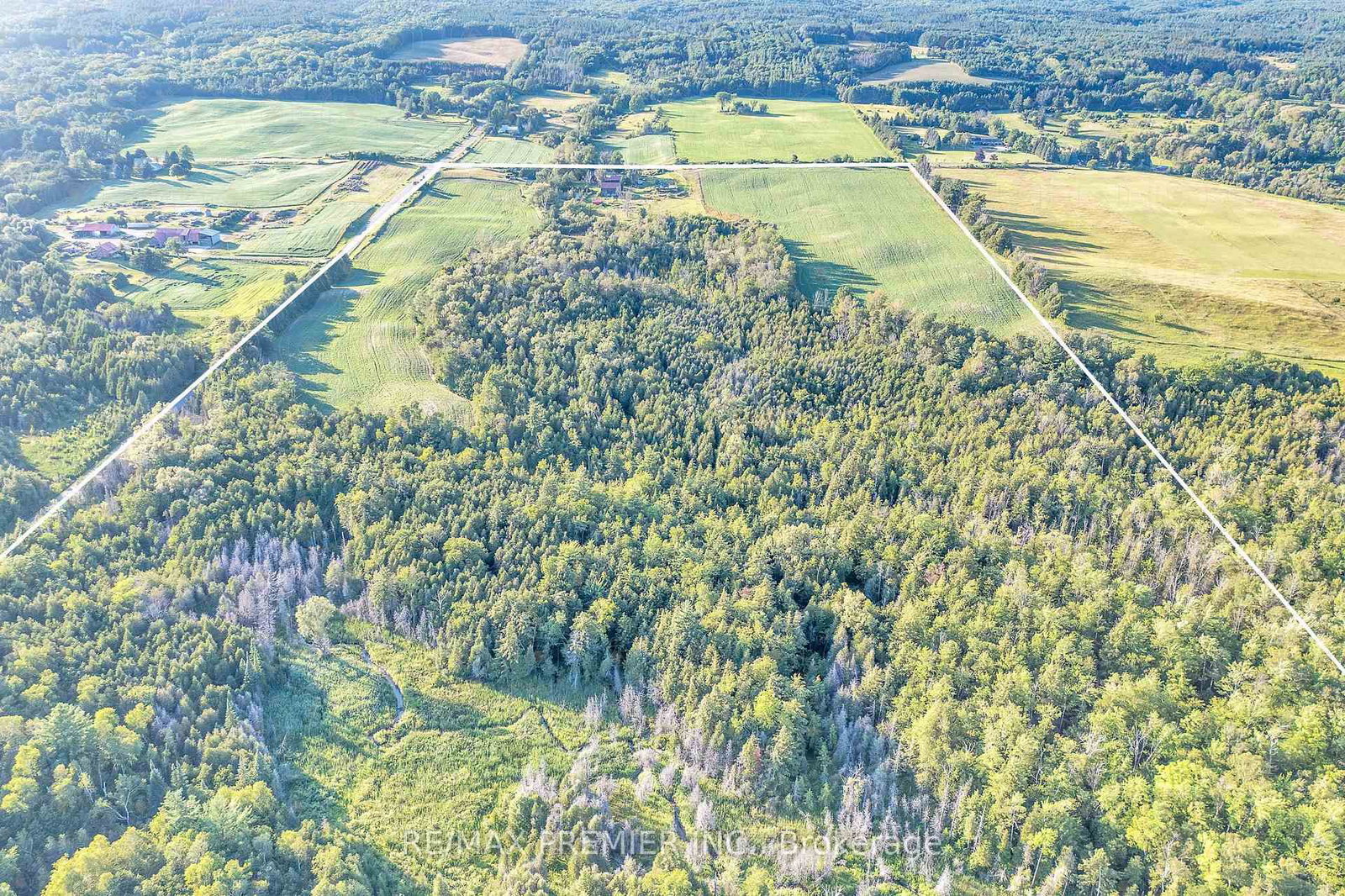 4615 Thertell Road • Clarington, ON photo 8