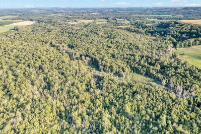 4615 Thertell Road • Clarington, ON photo 9