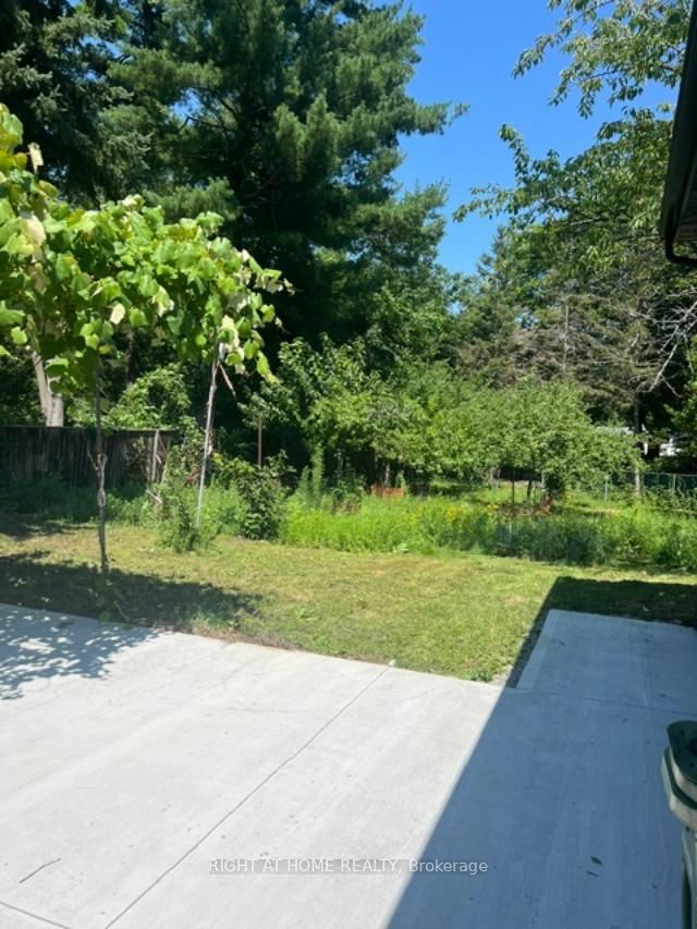 Unit 3-61 Glady's Road, Toronto, ON, photo 4
