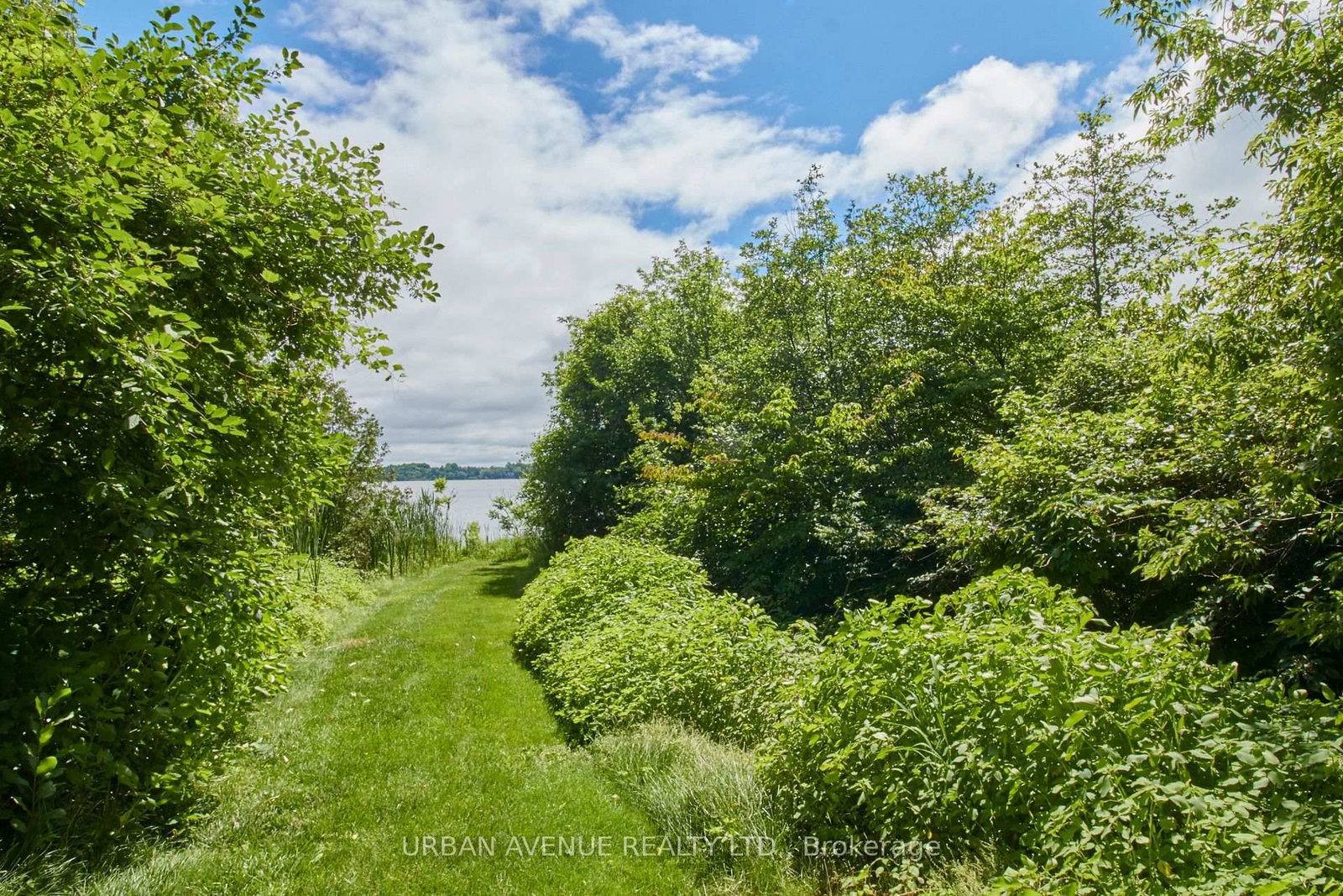 106 Cawkers Cove Road • Scugog, ON photo 34