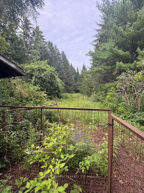 869 Townline Road N
