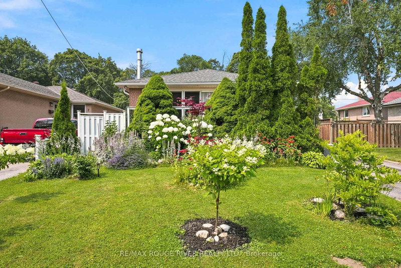5 Pixley Crescent