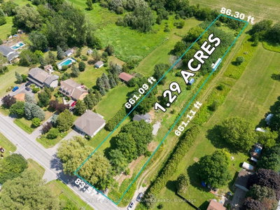 4599 Trulls Road