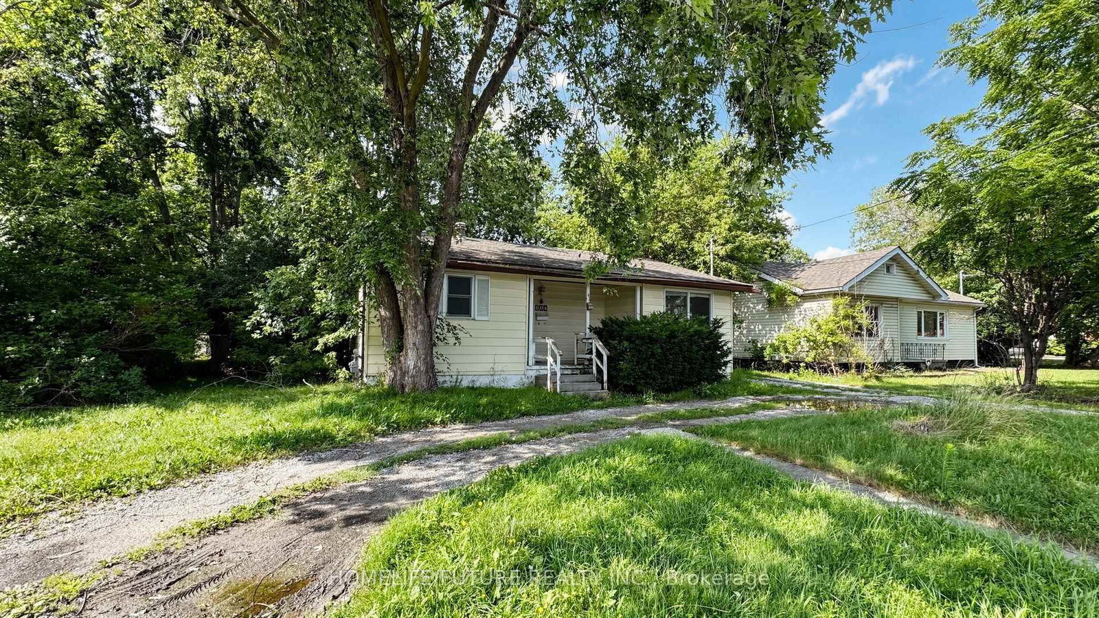 804 Dundas Street W • Whitby, ON photo 5