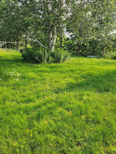 3837 Highway 2 (Part 2) Road — photo 2