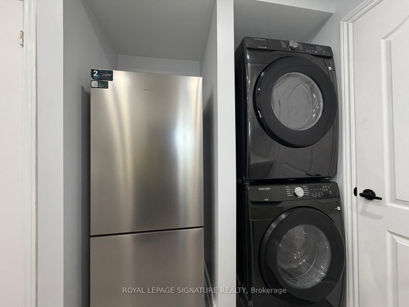 Basement - 56 Kimbourne Avenue