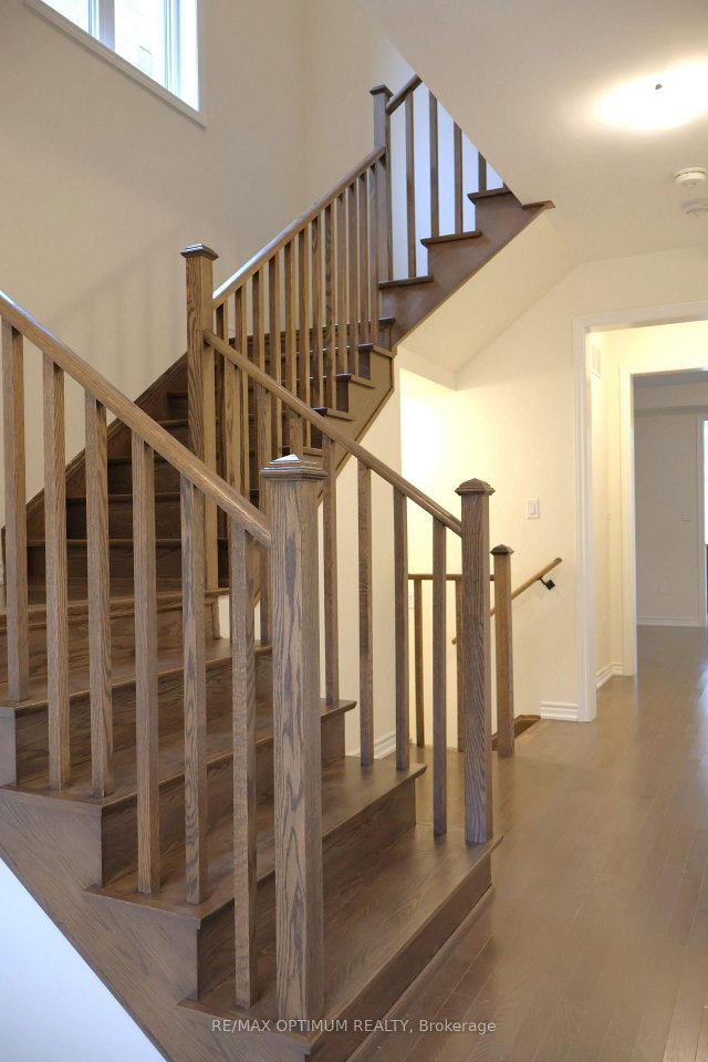 3 Armilia Place