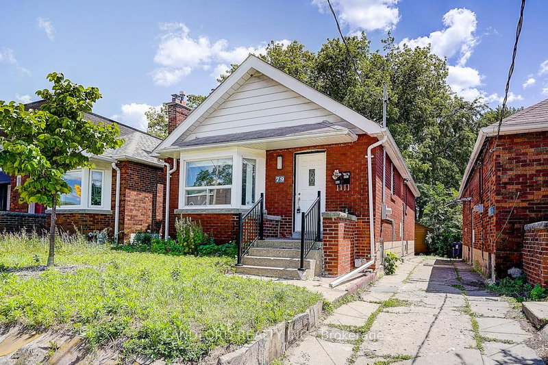 Lower - 79 O'Connor Drive