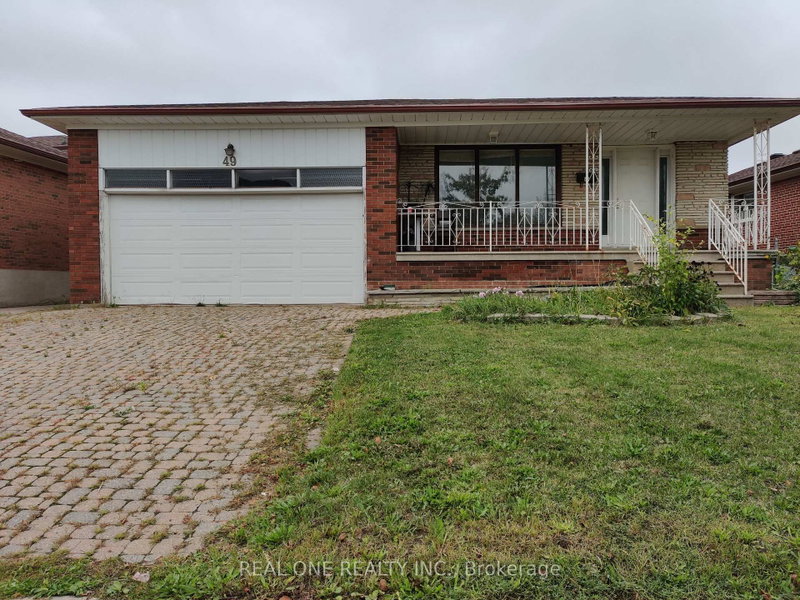 Basement - 49 Corinthian Boulevard