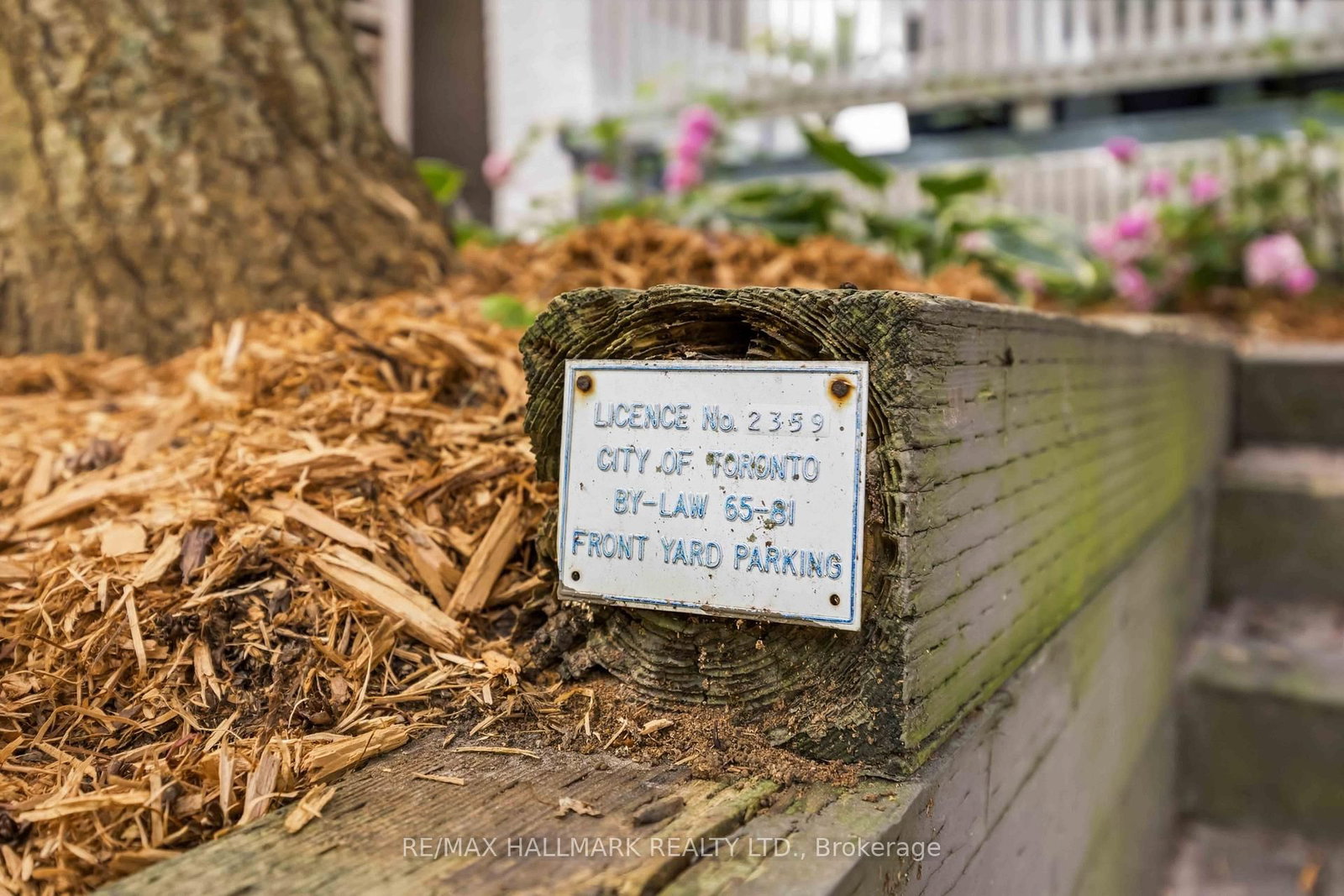 192 Wineva Avenue • Toronto, ON photo 38