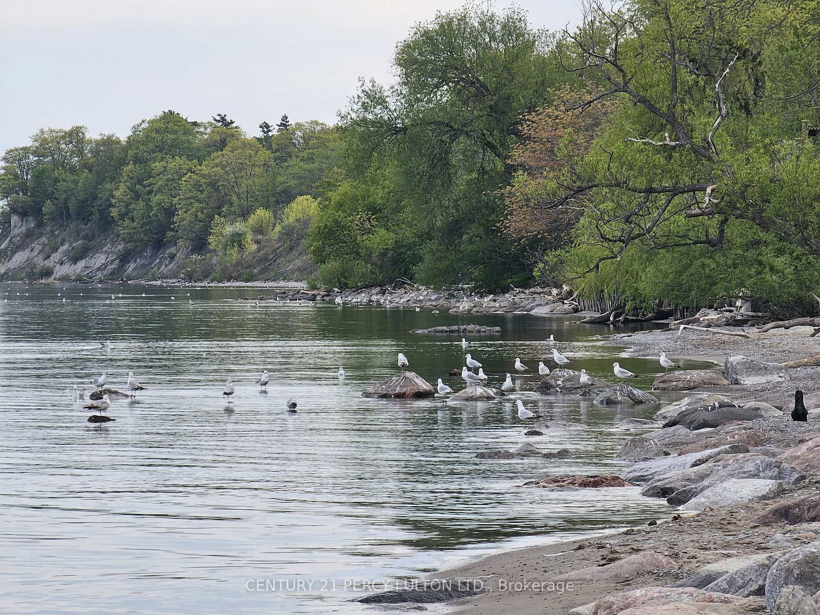 580 Eyer Drive • #22 • Pickering, ON photo 34