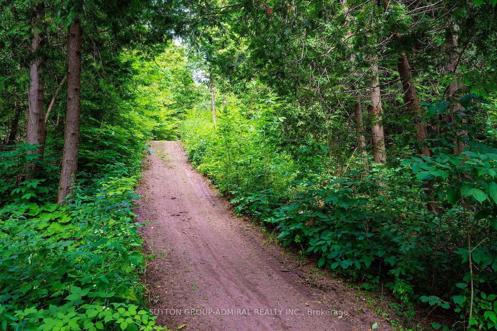 2460 Concession 8 Road • Clarington, ON photo 48