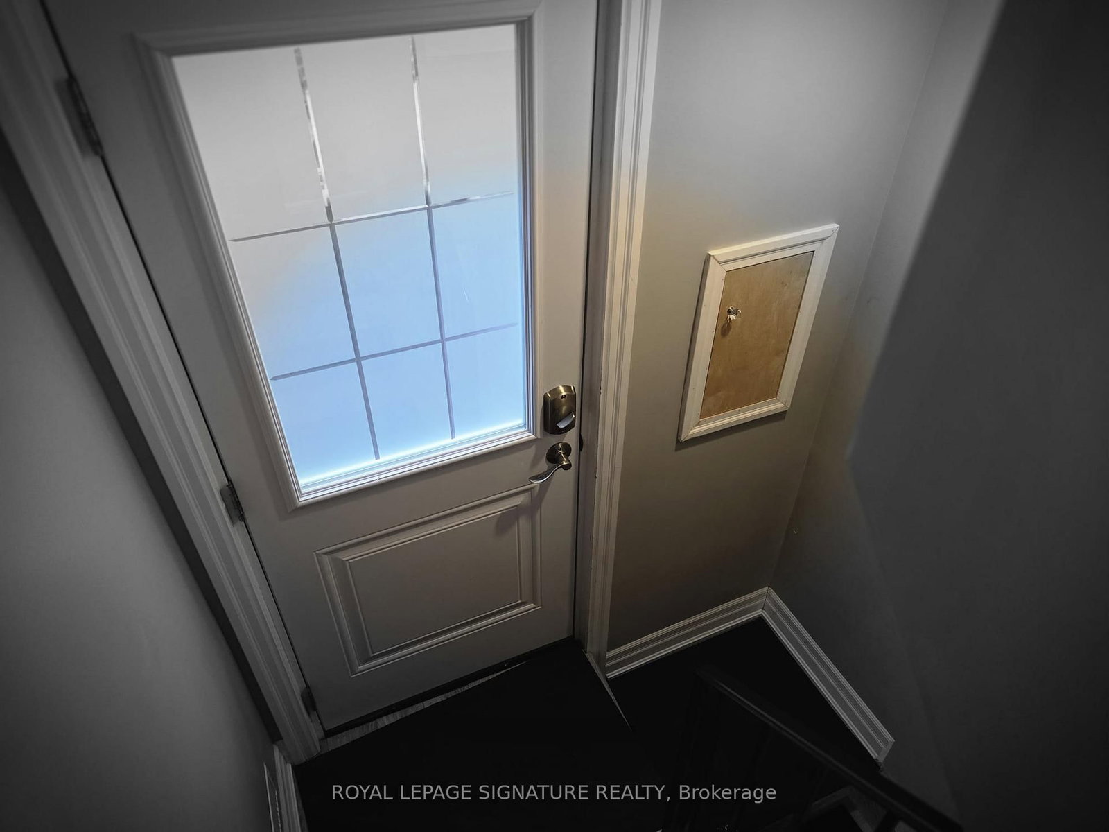 Lower - 141 Phillip Avenue, Toronto 3