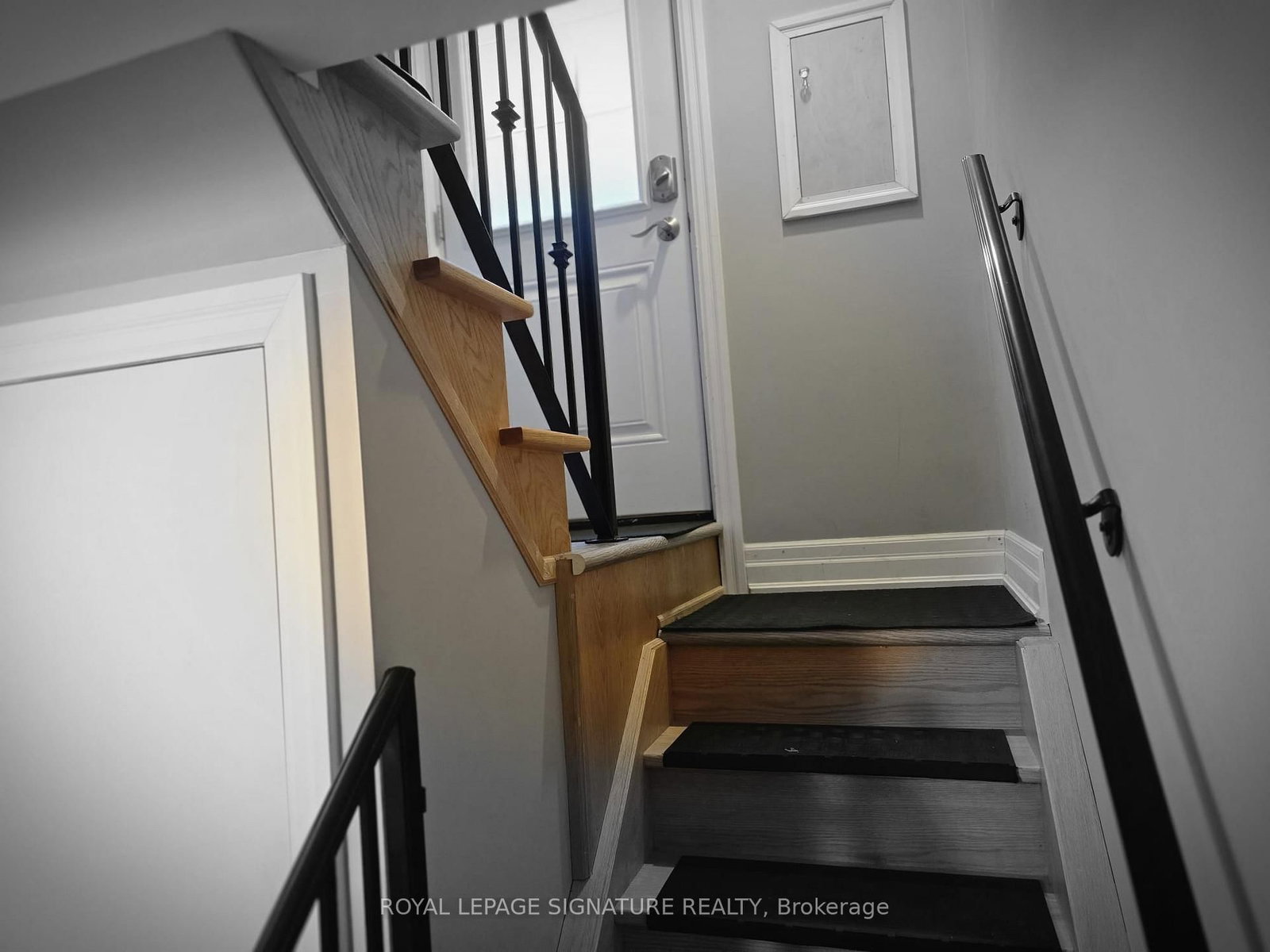 Lower - 141 Phillip Avenue, Toronto 5