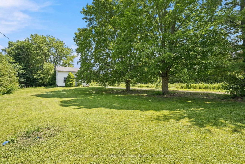 4599 Trulls Road