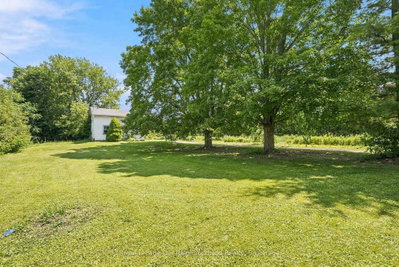 4599 Trulls Road