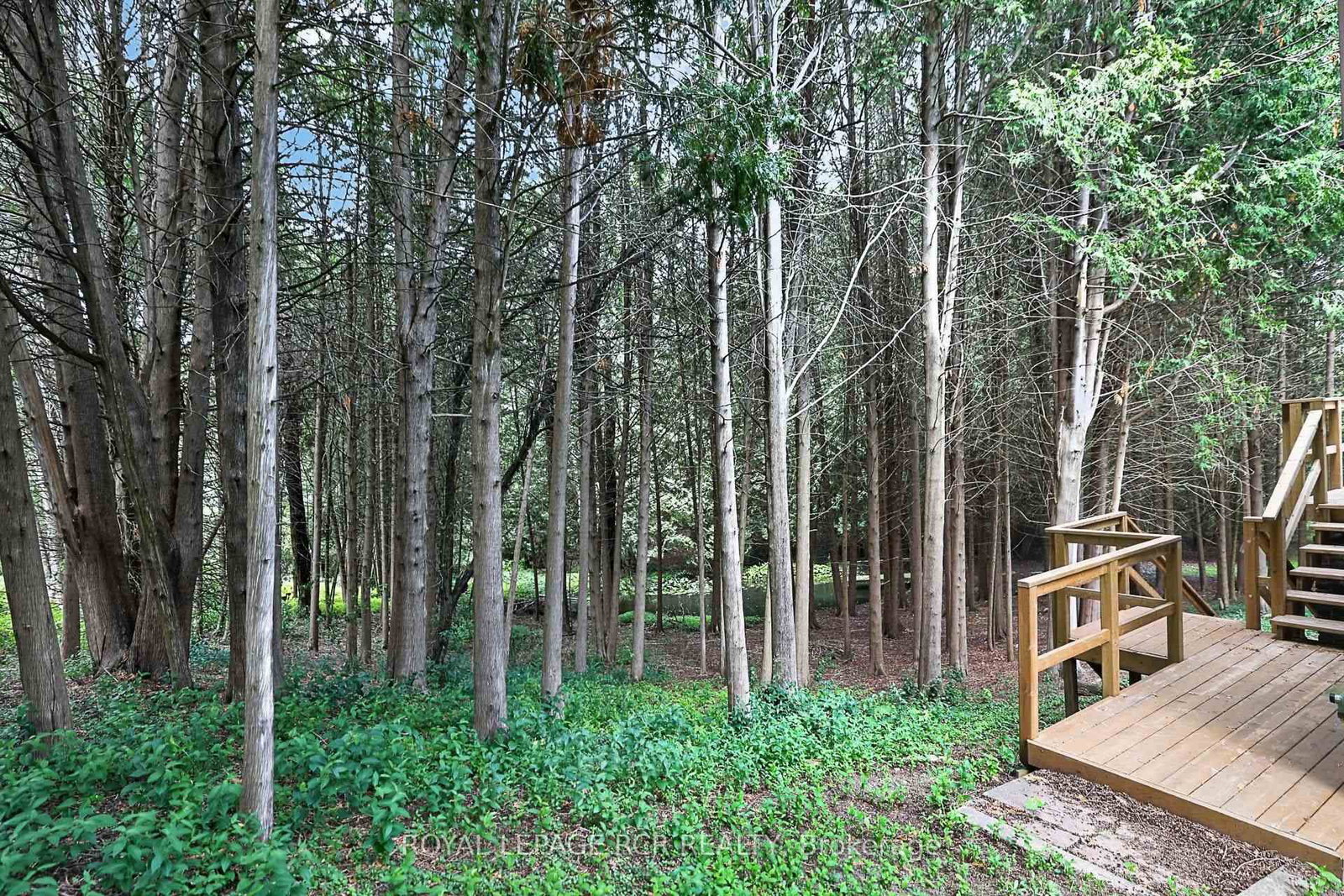 502 Townline Road • Scugog, ON photo 27