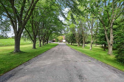 502 Townline Road • Scugog, ON photo 3