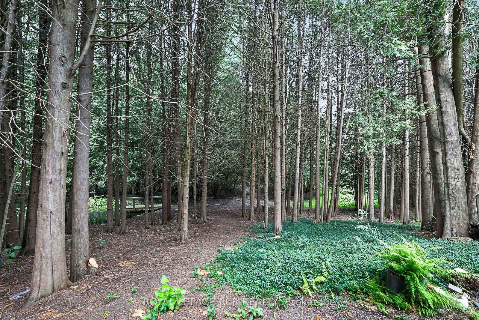 502 Townline Road • Scugog, ON photo 32