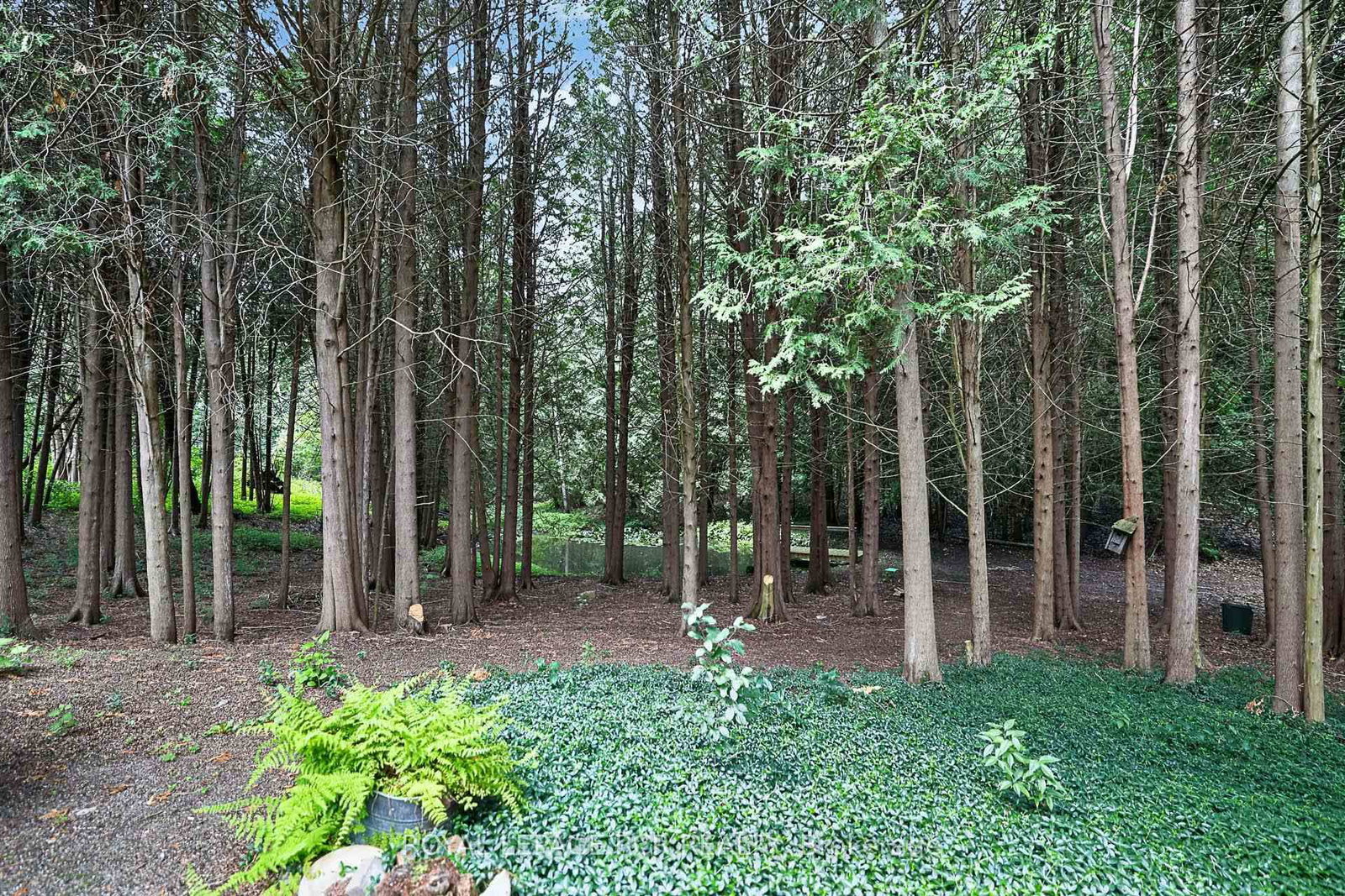 502 Townline Road • Scugog, ON photo 33