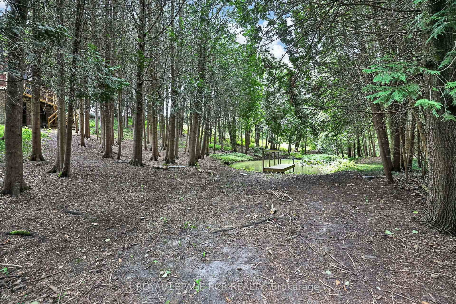 502 Townline Road • Scugog, ON photo 35