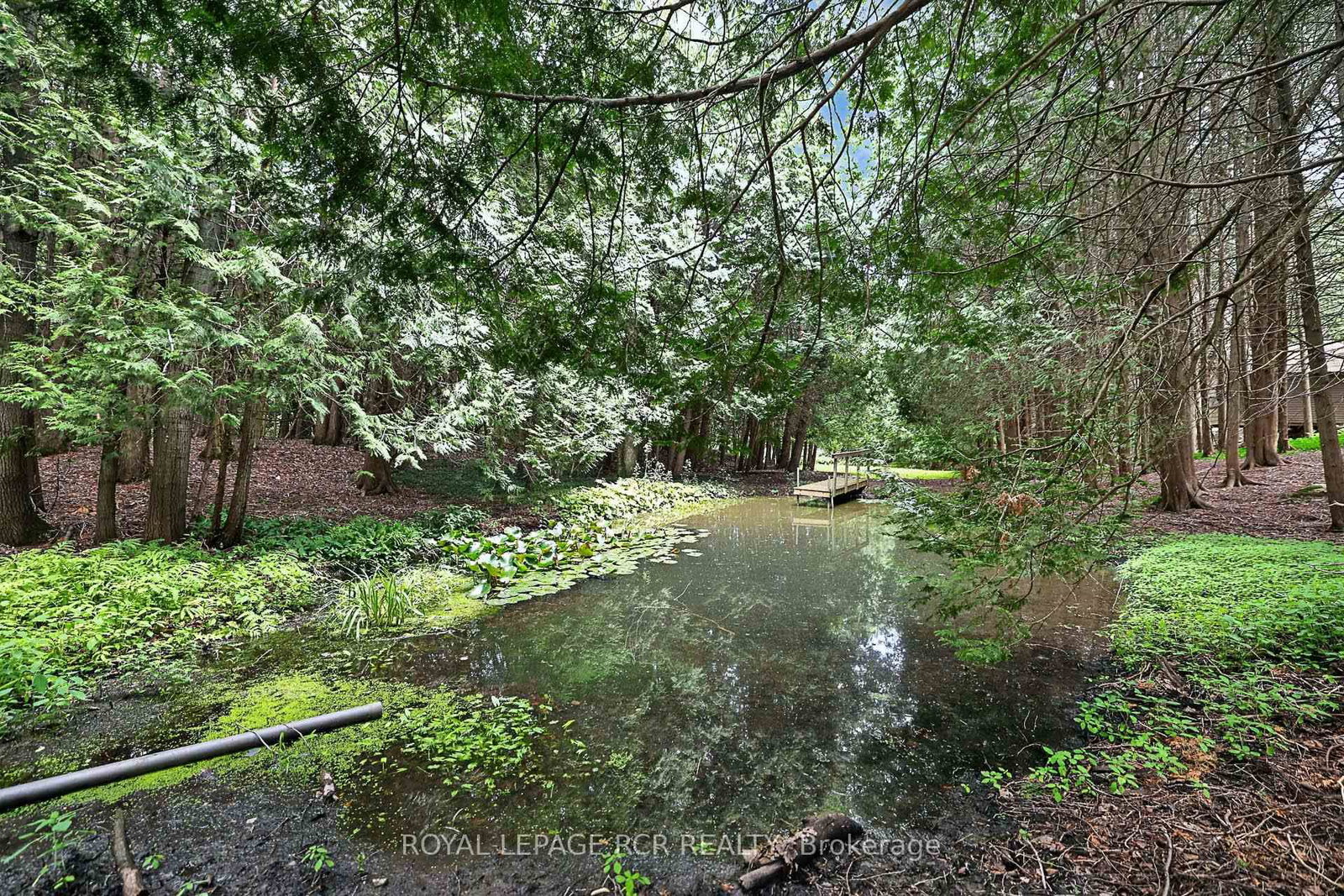 502 Townline Road • Scugog, ON photo 38