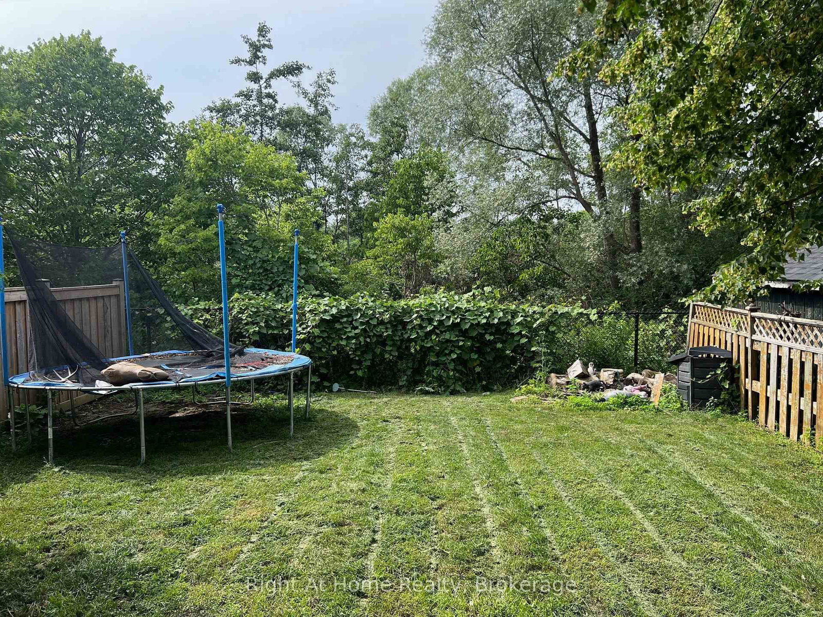 26 Moyse Drive • Clarington, ON photo 6