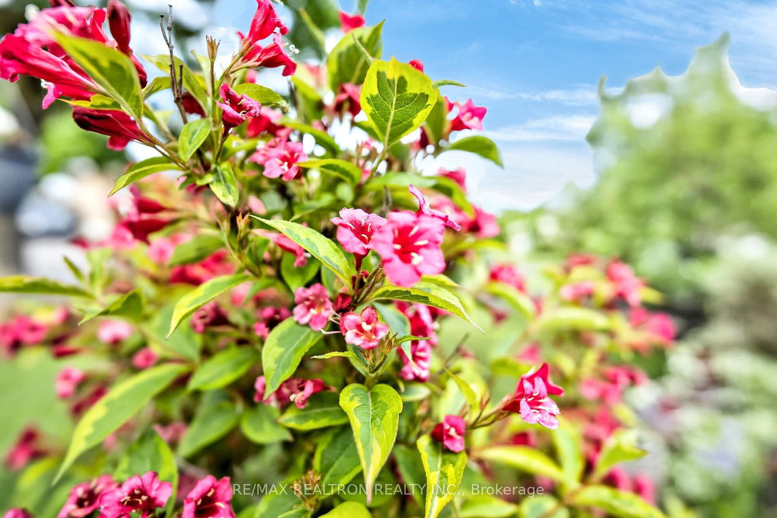49 Tunmead Square • Toronto, ON photo 7