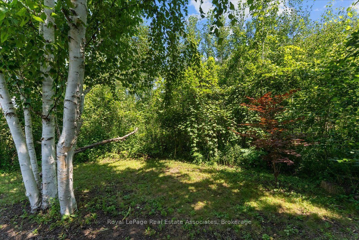 1464 Trowbridge Drive • Oshawa, ON photo 48