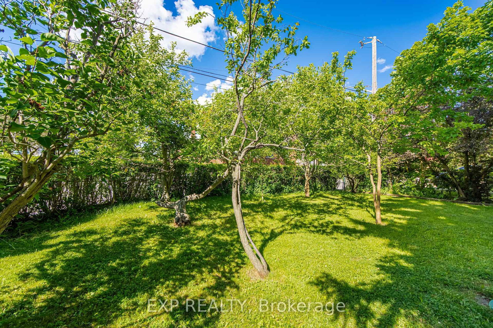 43 Ridgemoor Avenue • Toronto, ON photo 42