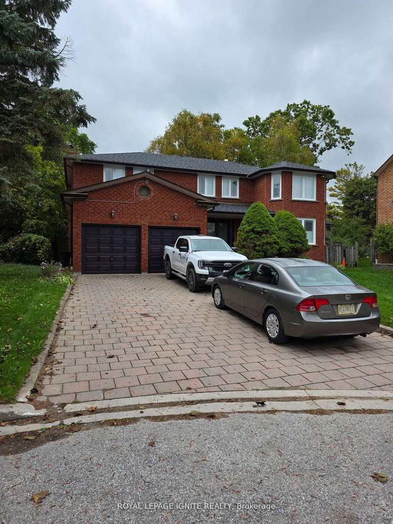 Bsmt - 75 Glenthorne Drive