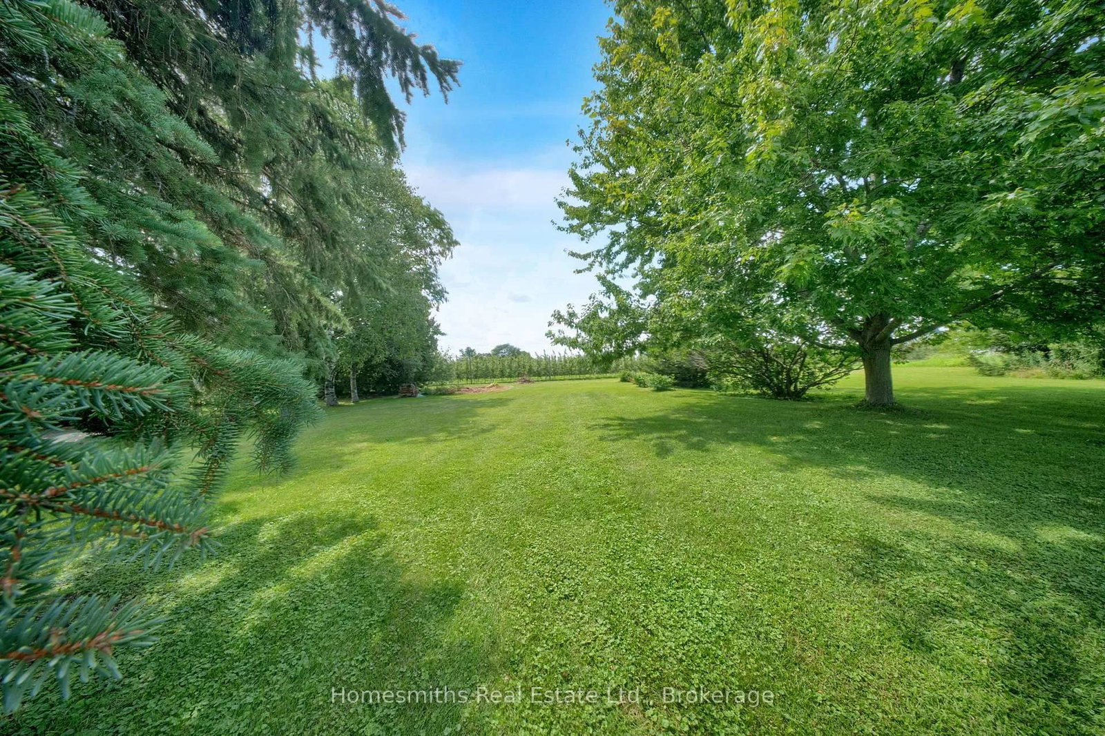 3698 Concession 5 Road • Clarington, ON photo 50