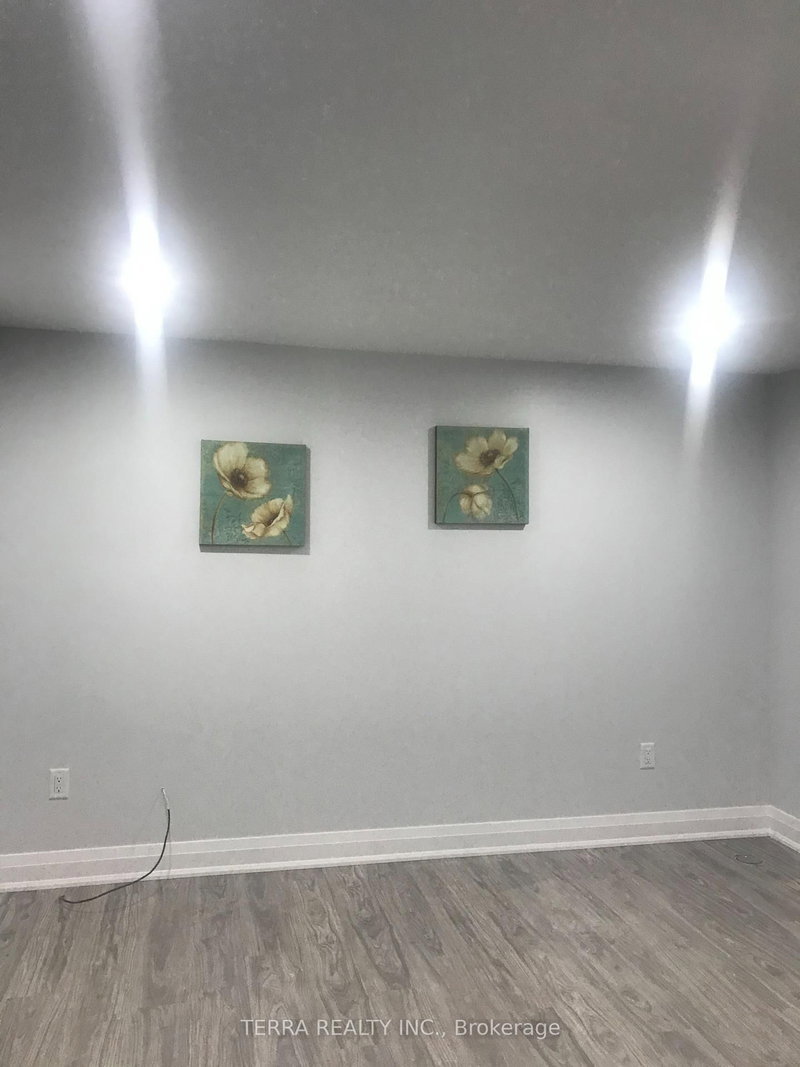 Basement - 157 Darlingside Drive