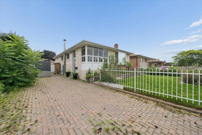 Basement - 883 Antonio Street