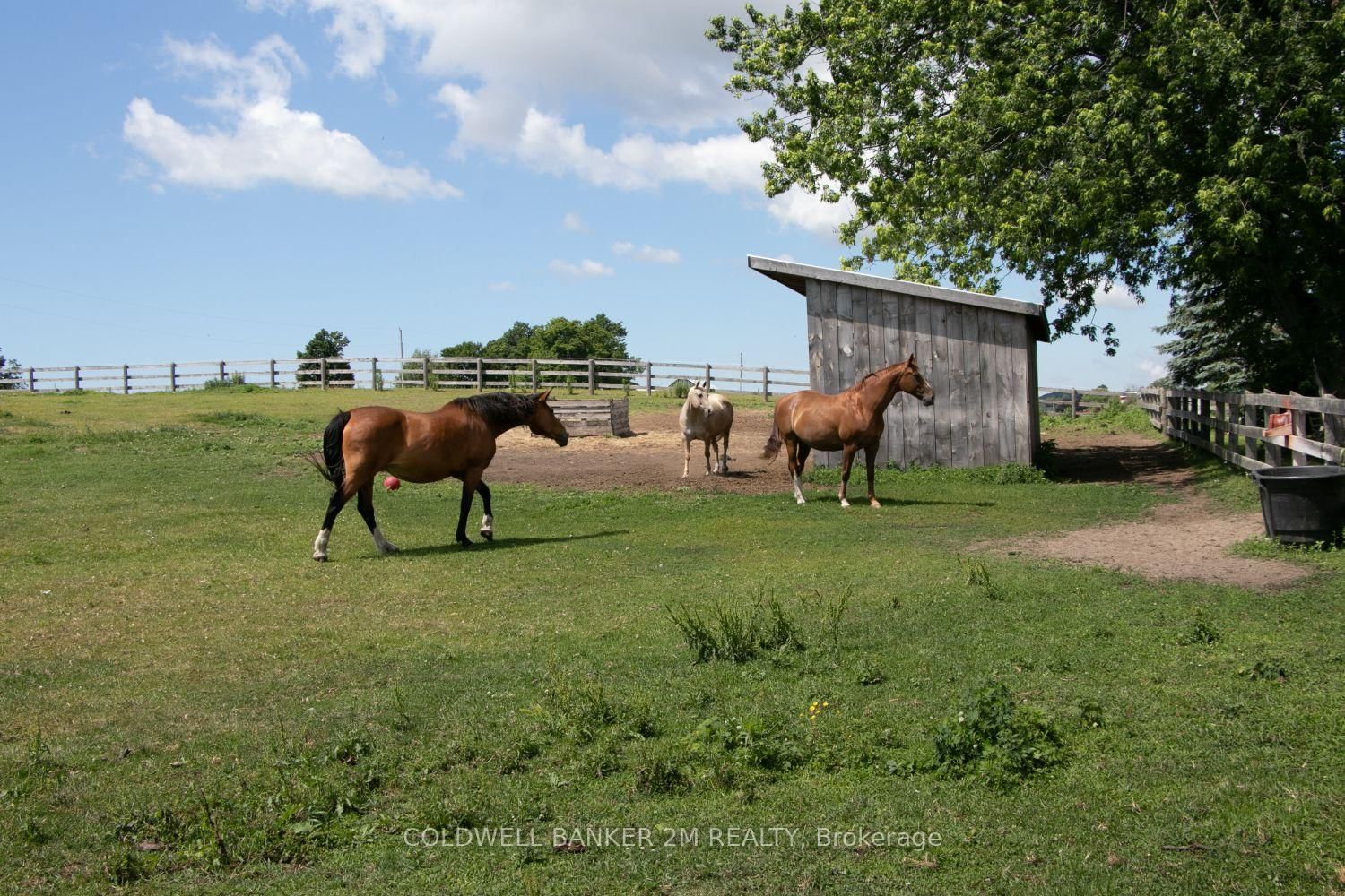 5728 Gilmore Road • Clarington, ON photo 42