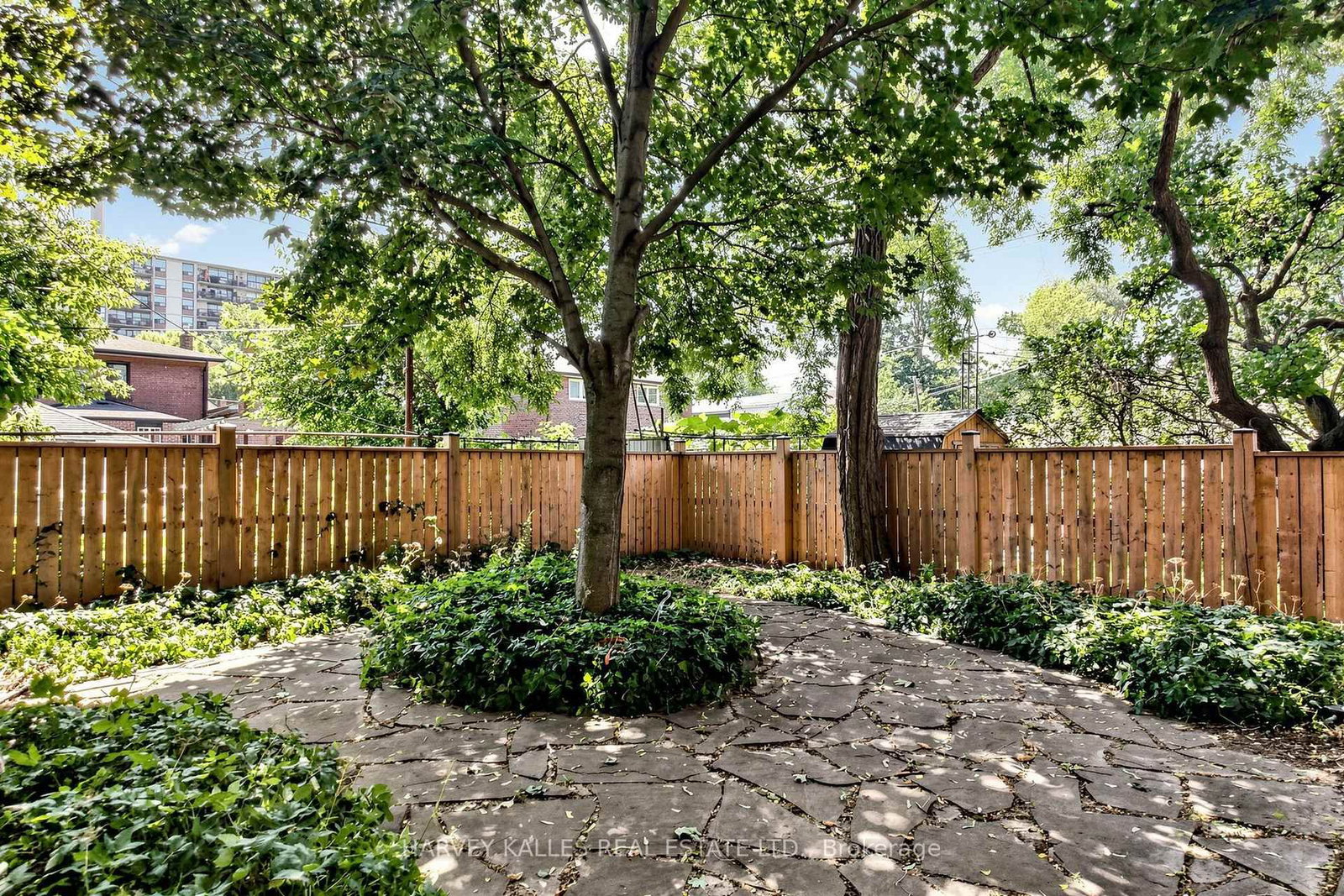 15 Woodville Avenue • Toronto, ON photo 39