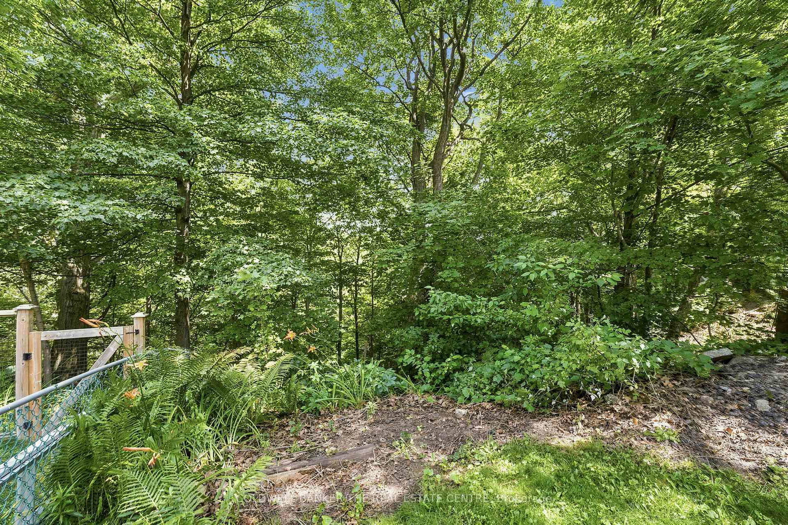 15 Presley Avenue • Toronto, ON photo 38