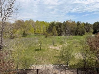 1665 Nash Road • Clarington, ON photo 5