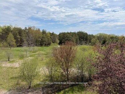 1665 Nash Road • Clarington, ON photo 6