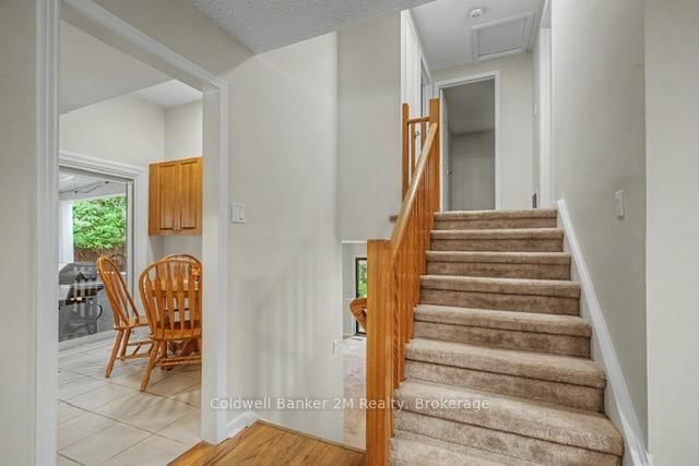 41 Panter Crescent • Ajax, ON photo 16
