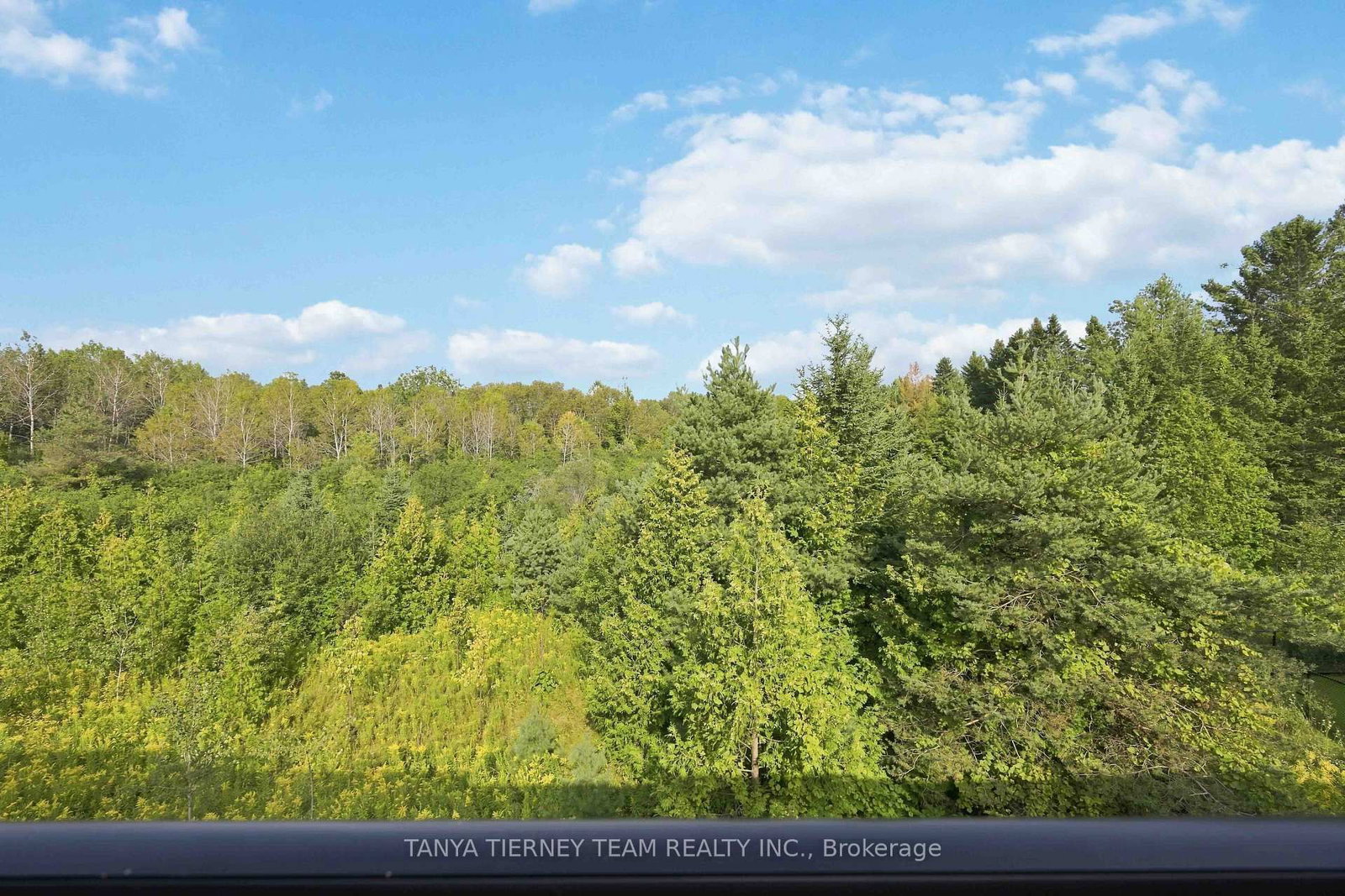 53 Emmas Way • Whitby, ON photo 32