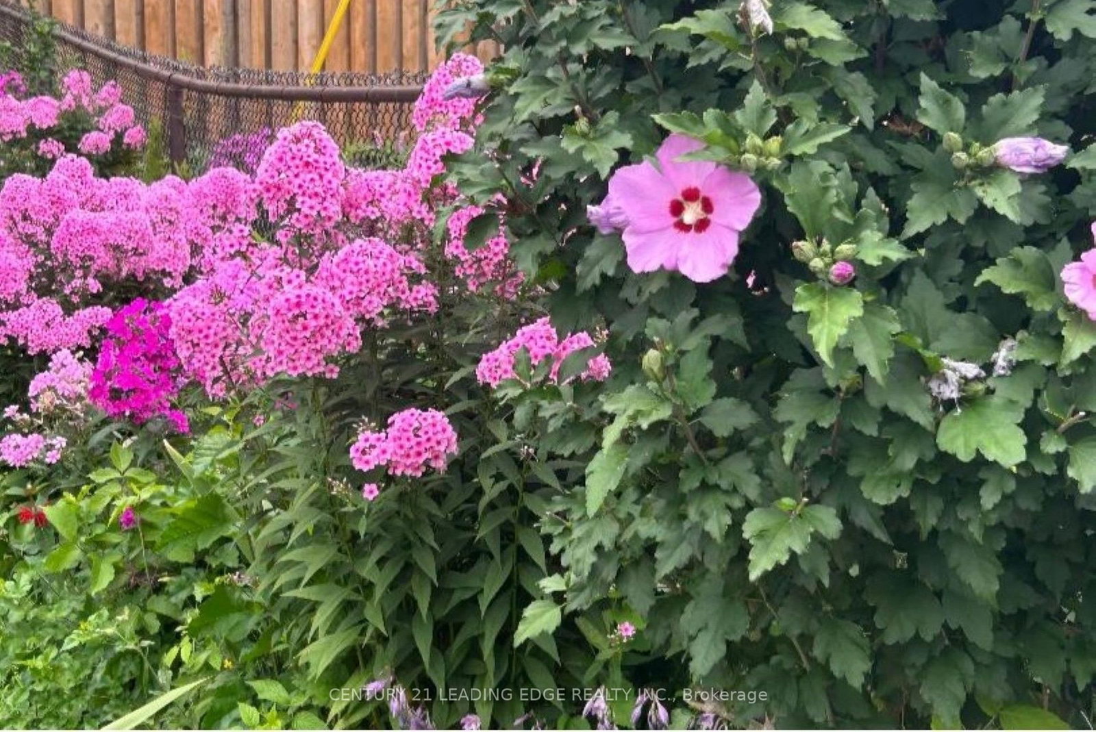 258 Nipigon Street • Oshawa, ON photo 36