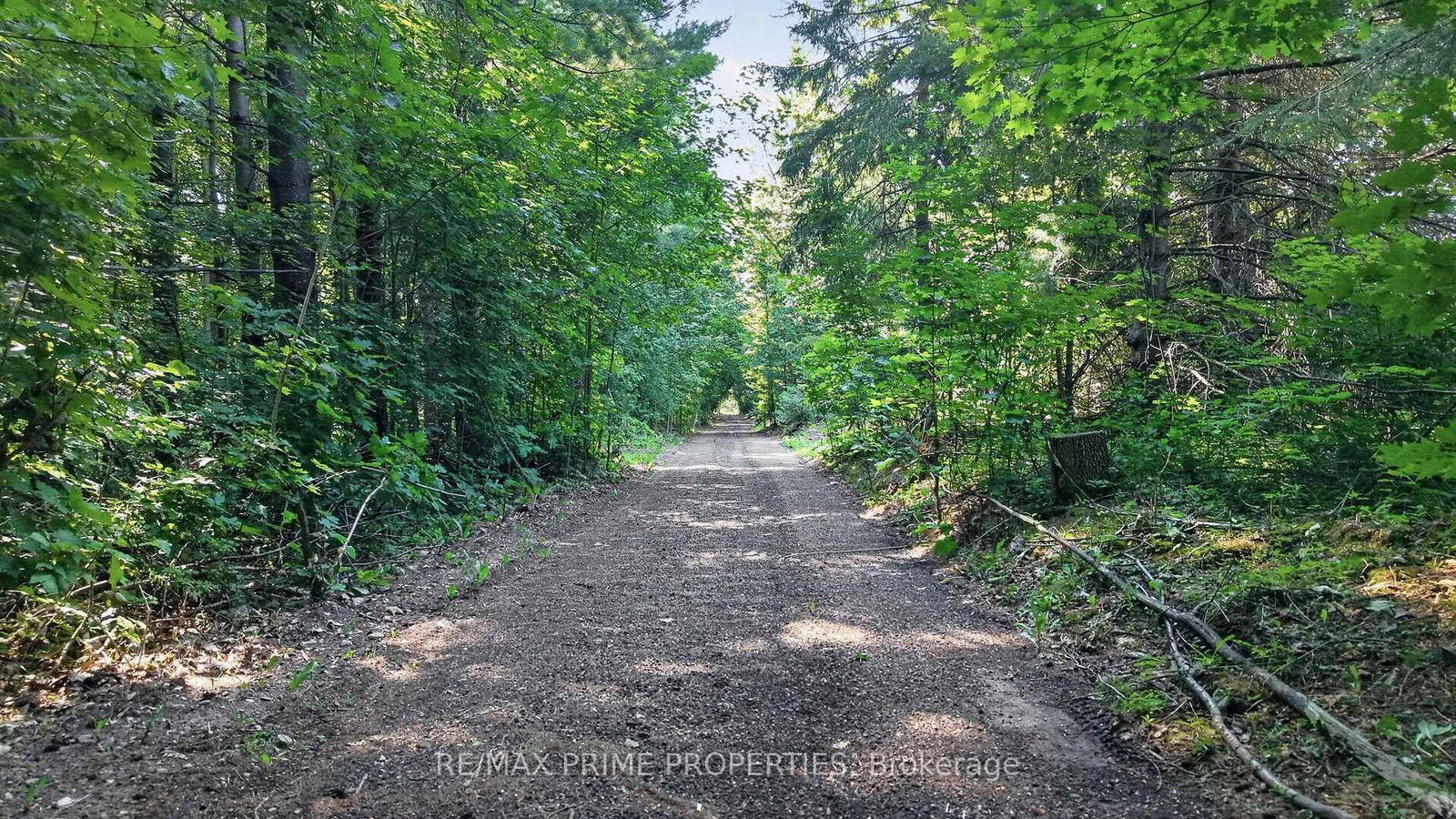 930 Scugog Line 9 Line • Scugog, ON photo 4