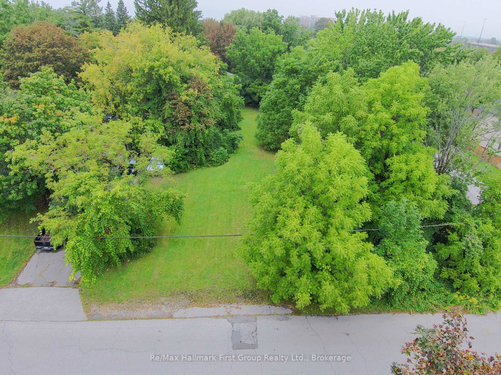 98 Euclid Avenue • Toronto, ON photo 4