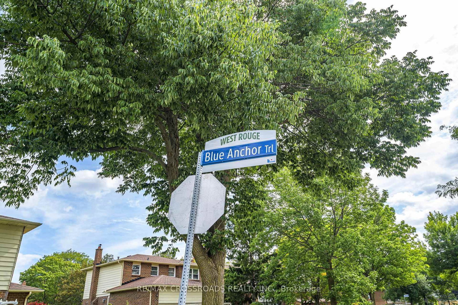 Bsmt - 34 Blue Anchor Trail, Toronto 3