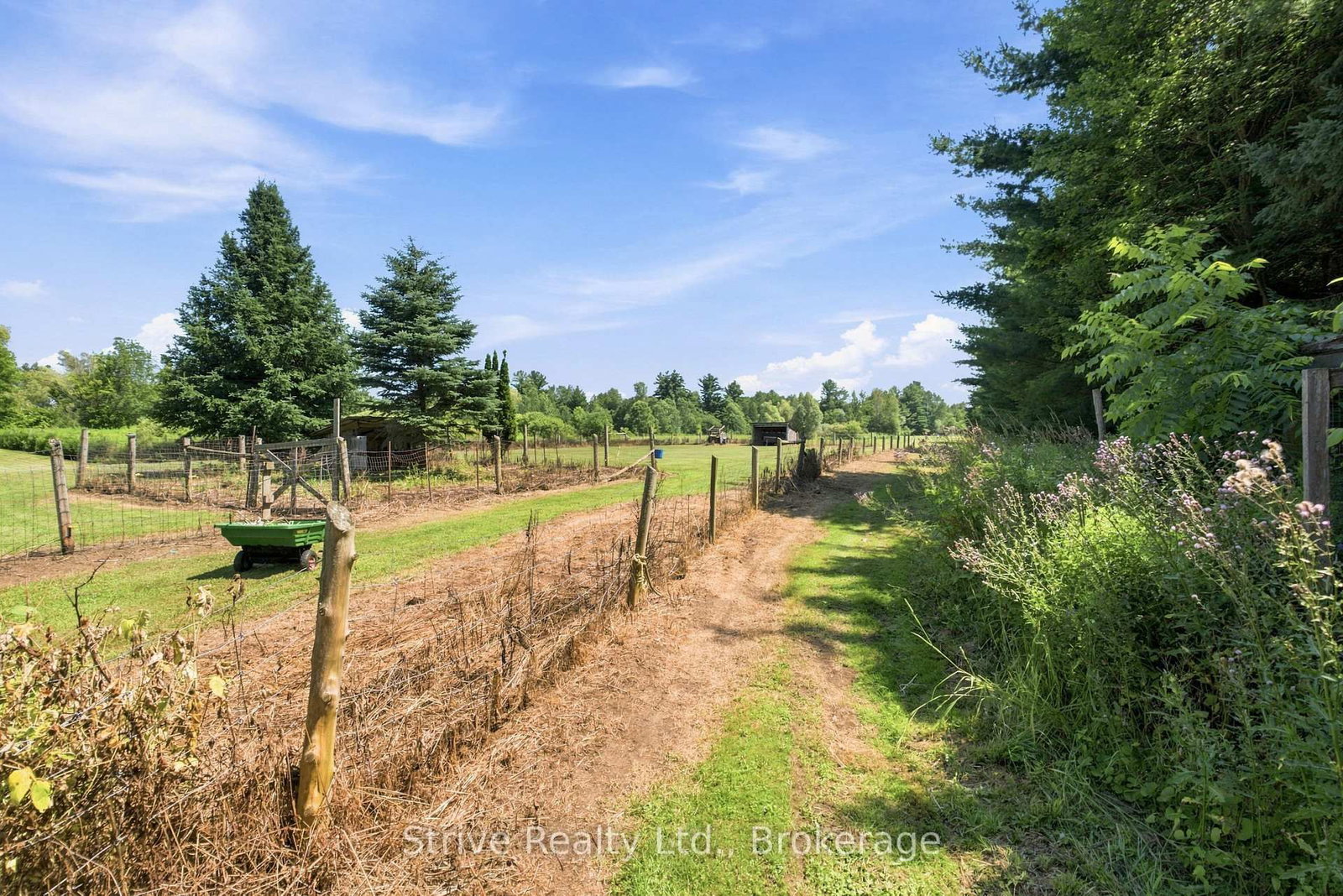 4437 Concession Rd 4 Road • Clarington, ON photo 38
