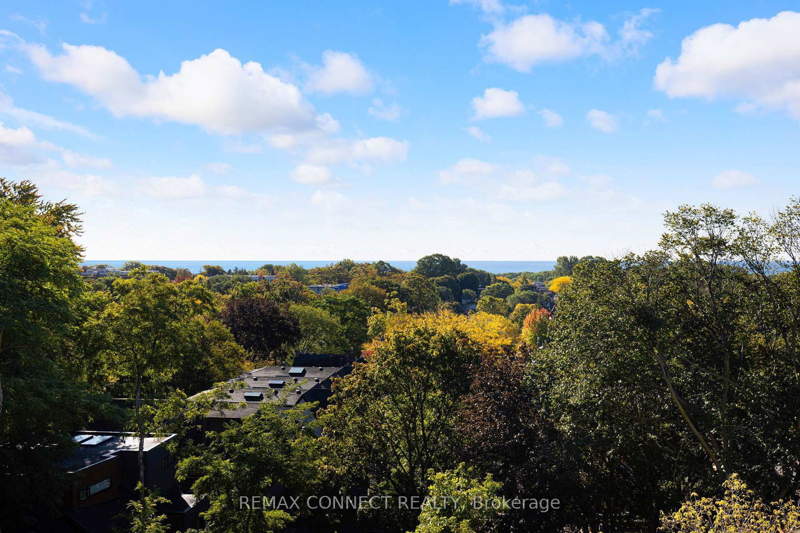 517 Kingston Road • #4 • Toronto, ON photo 36
