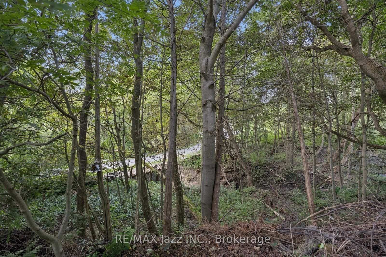 364 King Street E • Clarington, ON photo 26